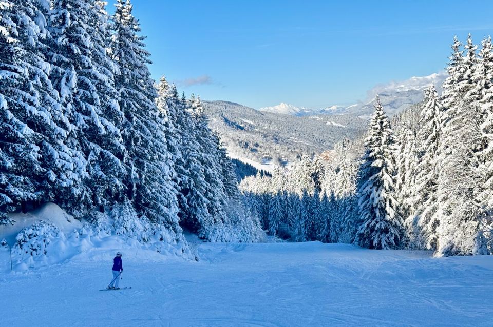 First tracks through the pines.