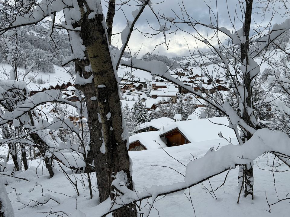 The last of the run home, dropping through the trees straight to the chalet — on a good day you ski off the piste to the door.