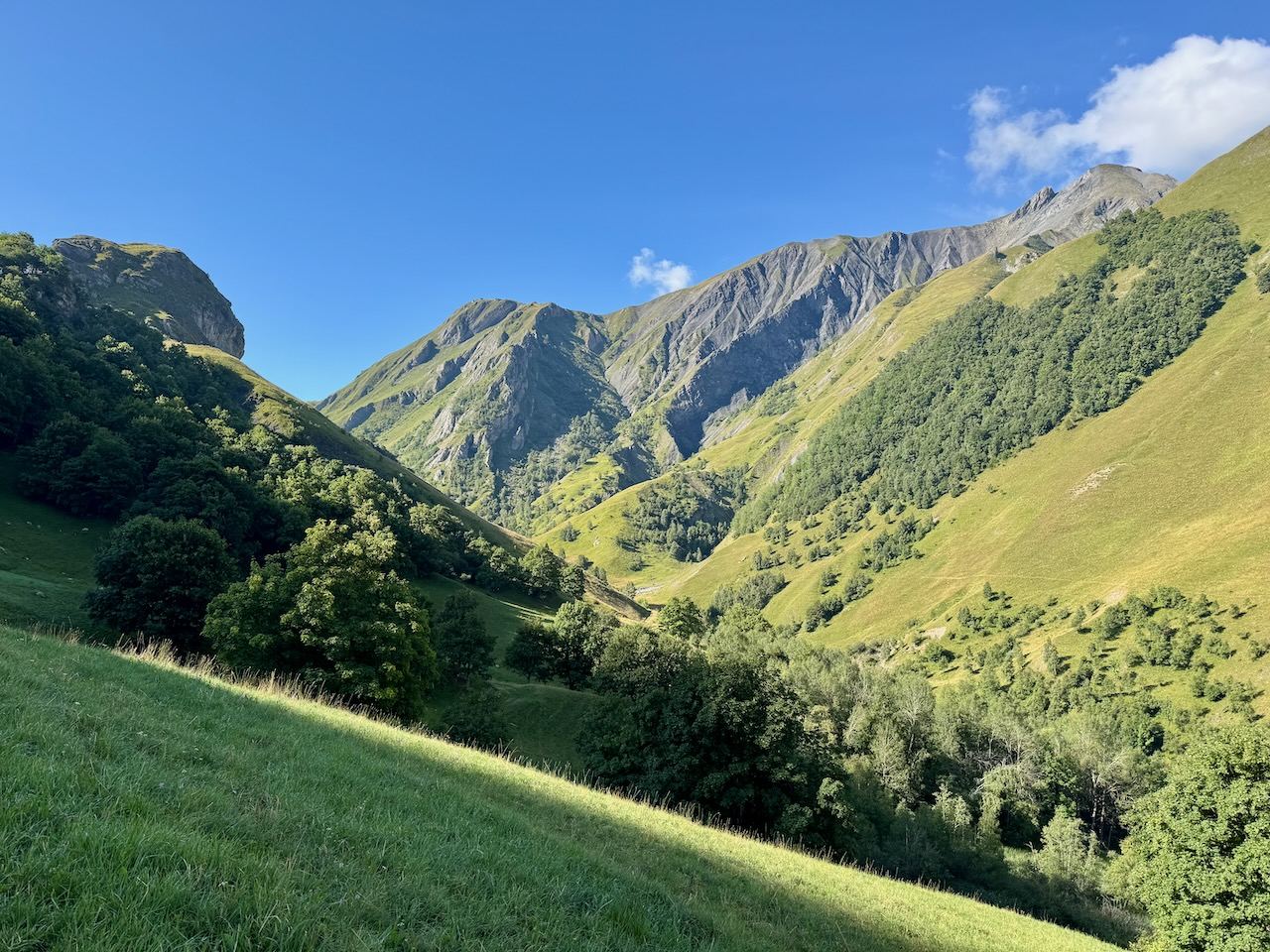 The valley in high summer.